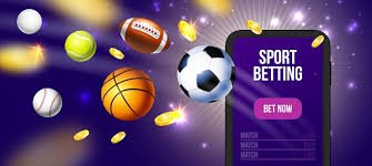 5pgbet